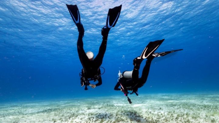 Sydney Shore Dives